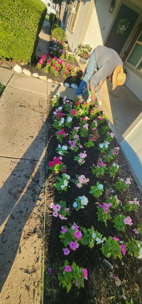 Local yard cleanup service for homes in Grapevine, TX by Francisco Lawn Service