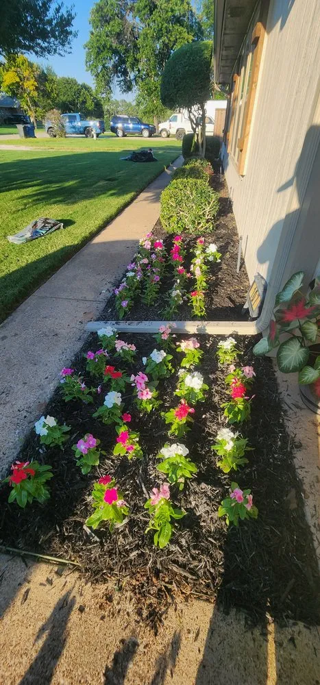 Expert lawn care service for beautiful yards across Grapevine, TX - Francisco Lawn Service