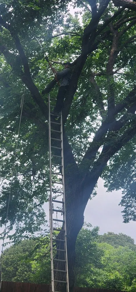 Custom garden landscaping for homes in Grapevine, TX by Francisco Lawn Service