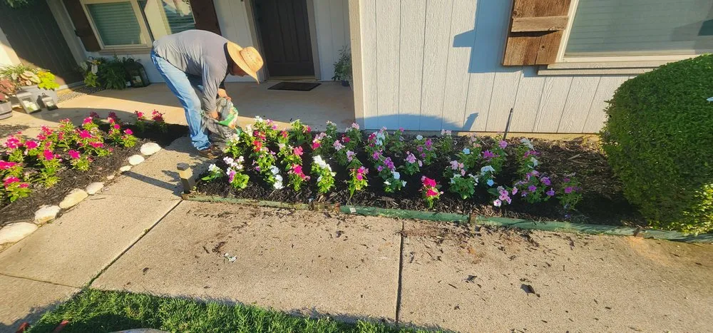Top-rated garden landscaping with custom design in Grapevine, TX by Francisco Lawn Service