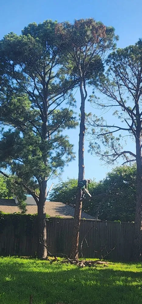 Local outdoor landscaping in Grapevine, TX by Francisco Lawn Service