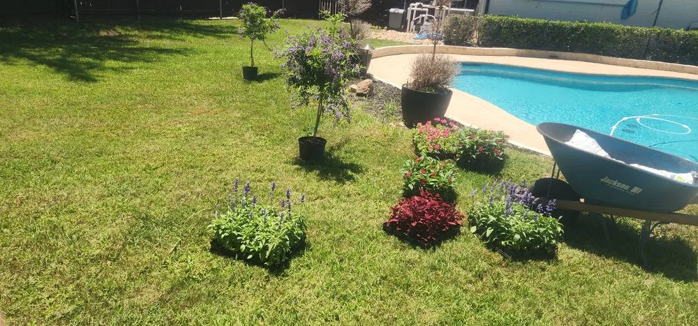 Professional yard maintenance in Grapevine, TX by Francisco Lawn Service