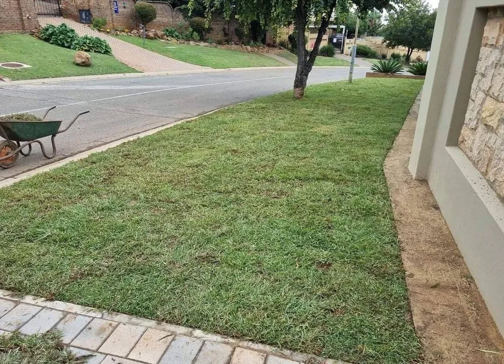 Trusted residential landscaping in Richmond, TX by Francisco Morales Lawn Service