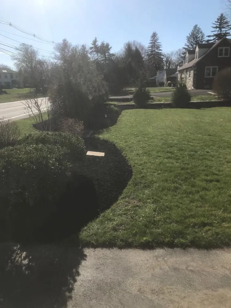 Reliable lawn care service experts serving Vallejo, CA - Francisco Pena Landscaping Services