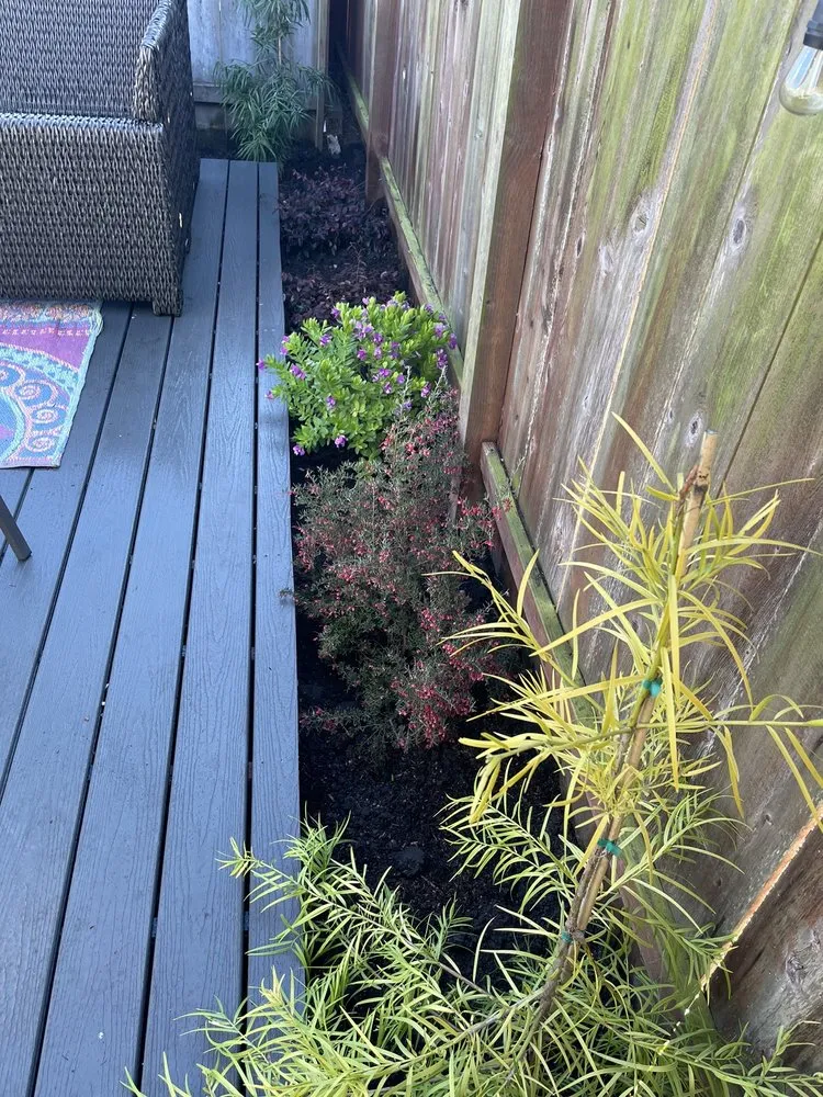 Custom yard maintenance in Half Moon Bay, CA - Francisco Pena Lawn Care Service