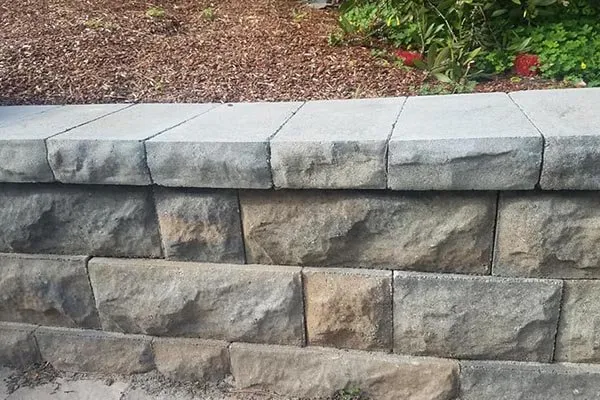 Affordable yard cleanup service experts serving Half Moon Bay, CA - Francisco Pena Lawn Care Service