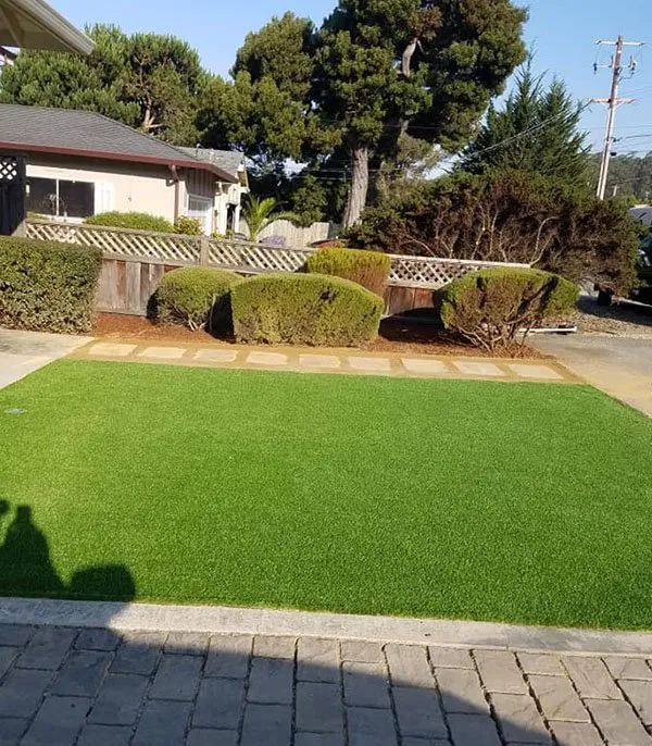 Custom yard cleanup service for year-round maintenance across Half Moon Bay, CA - Francisco Pena Lawn Care Service
