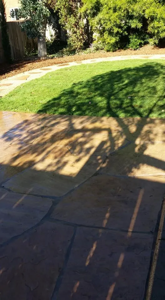 Reliable lawn care service experts serving Half Moon Bay, CA - Francisco Pena Lawn Care Service