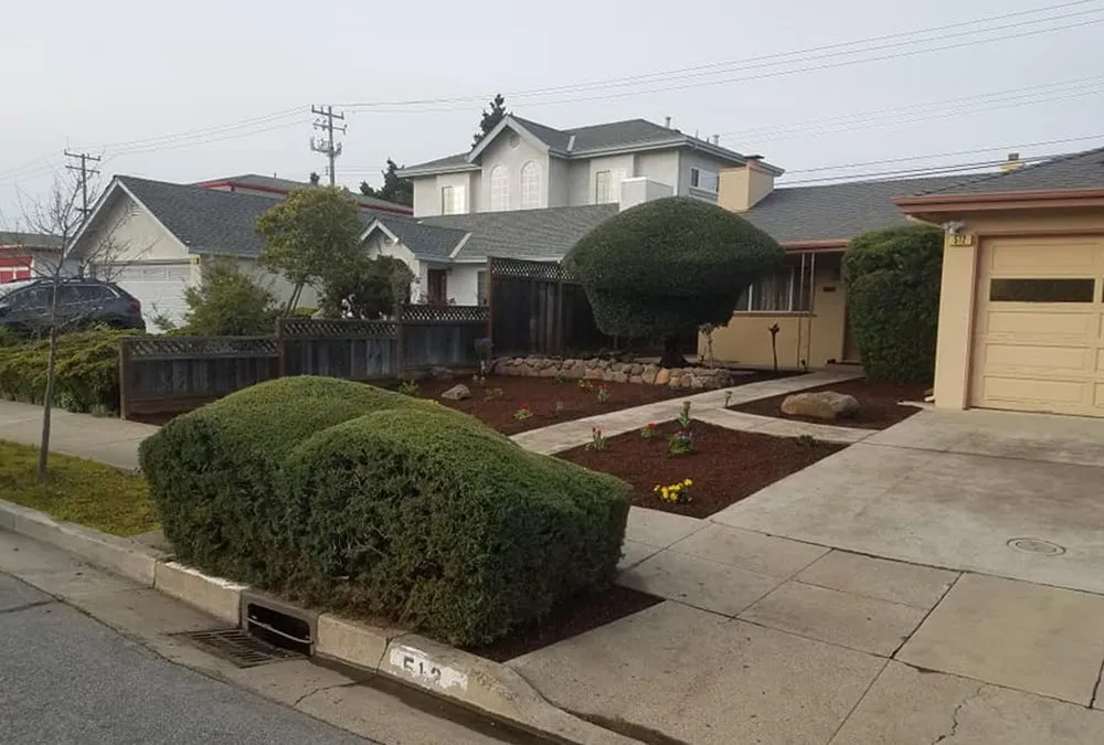 Local landscaping services in Half Moon Bay, CA - Francisco Pena Lawn Care Service