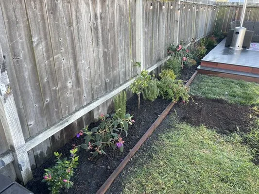 Francisco Pena Lawn Care Service Logo