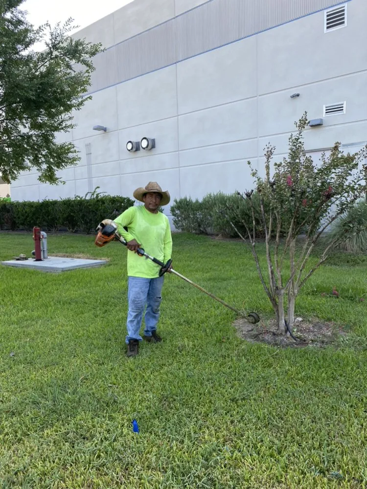 Professional residential landscaping in Houston, TX - Francisco Service