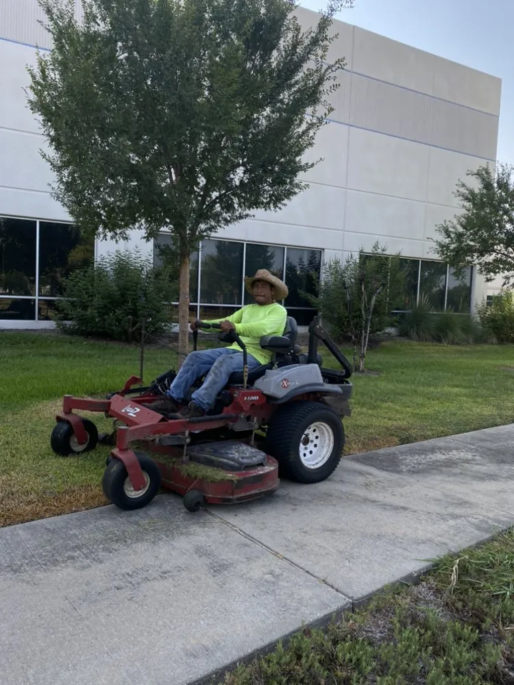 Top-rated landscape design near you across Houston, TX - Francisco Service