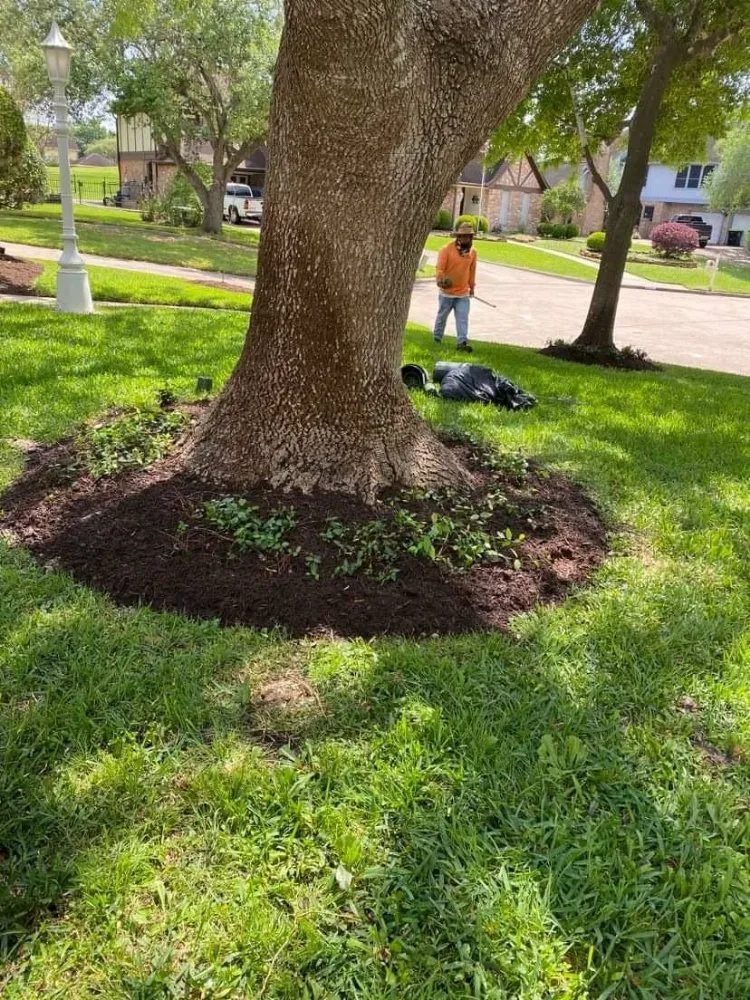 Expert outdoor landscaping in Houston, TX by Francisco Service
