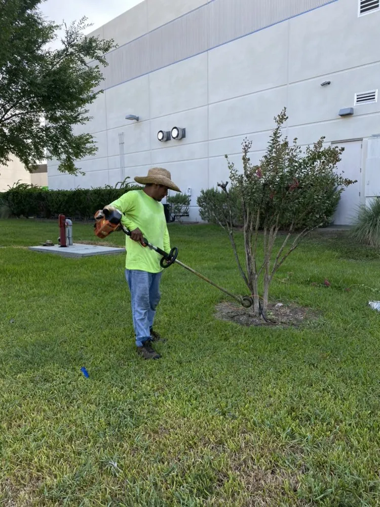 Affordable landscape installation near you in Houston, TX by Francisco Service