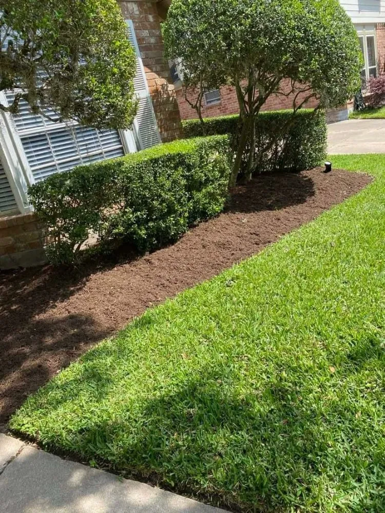 Expert lawn mowing service experts serving Houston, TX - Francisco Service