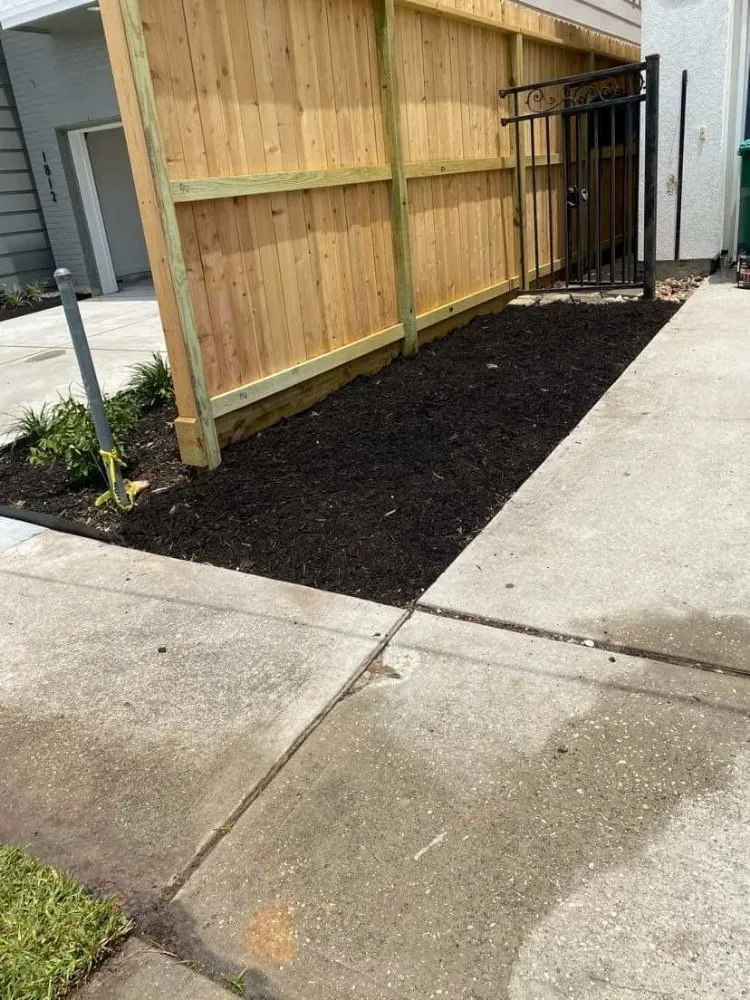 Expert outdoor landscaping experts serving Houston, TX - Francisco Service