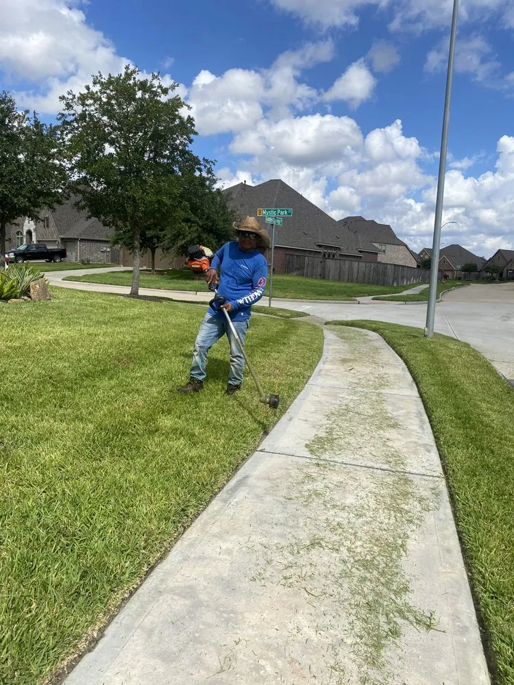 Professional landscaping services in Houston, TX by Francisco Service