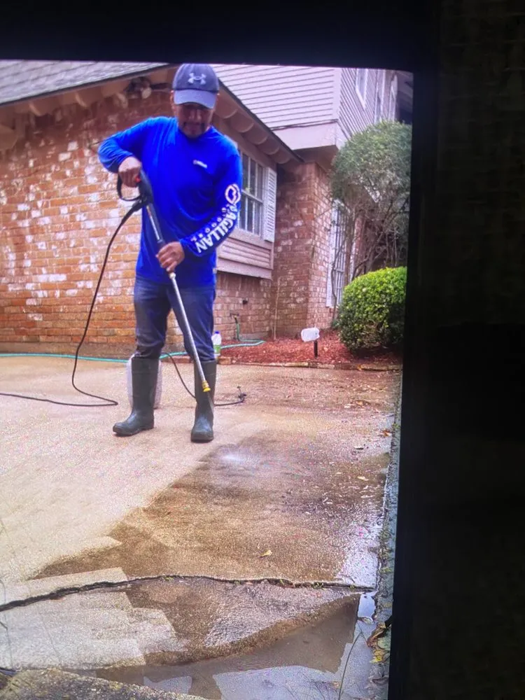 Affordable yard cleanup service in Houston, TX by Francisco Service