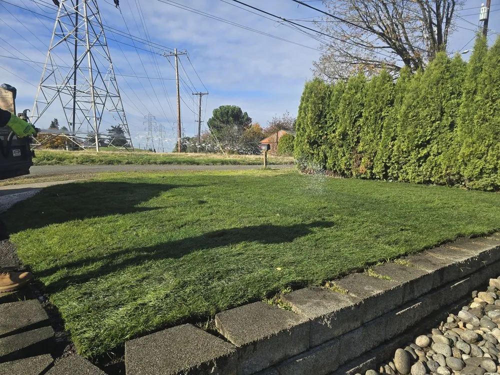 Custom lawn mowing service in Lacey, WA - Francisco V Landscaping and Fencing