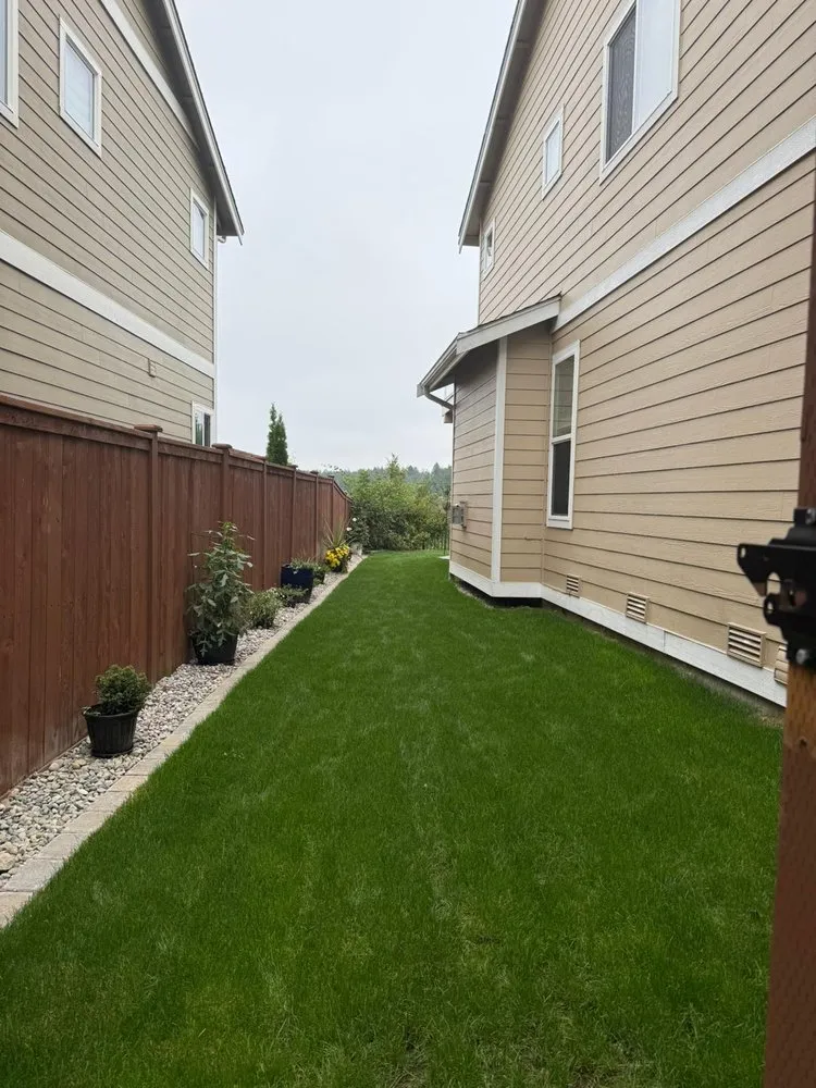 Affordable landscaping services experts serving Lacey, WA - Francisco V Landscaping and Fencing