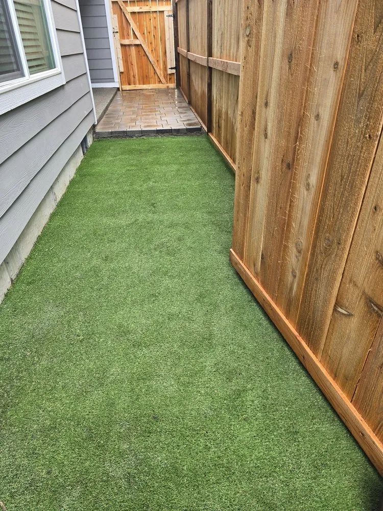 Expert yard cleanup service near you in Lacey, WA by Francisco V Landscaping and Fencing