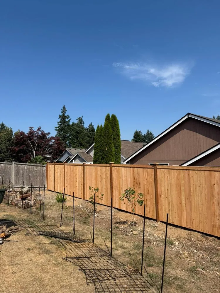 Expert lawn mowing service in Lacey, WA - Francisco V Landscaping and Fencing