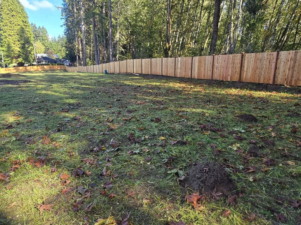 Top-rated garden landscaping in Lacey, WA by Francisco V Landscaping and Fencing