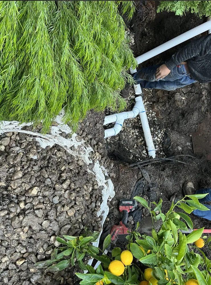 Trusted yard cleanup service for residential properties across Belmont, CA - Francisco Zarco Gardens Landscape