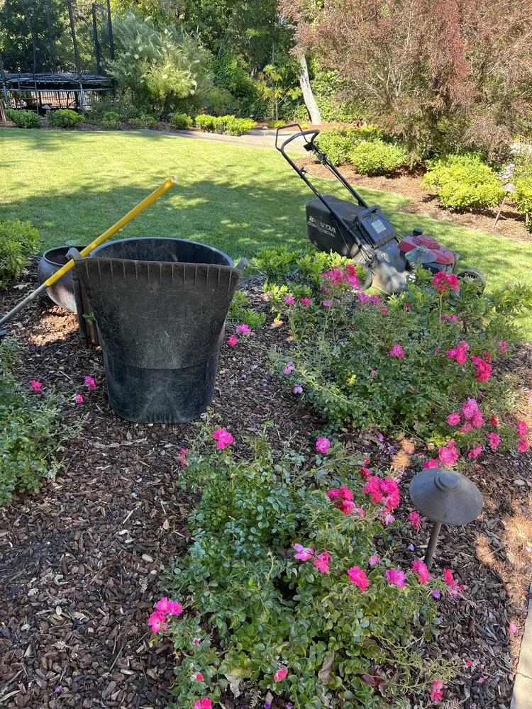 Reliable residential landscaping experts serving Belmont, CA - Francisco Zarco Gardens Landscape