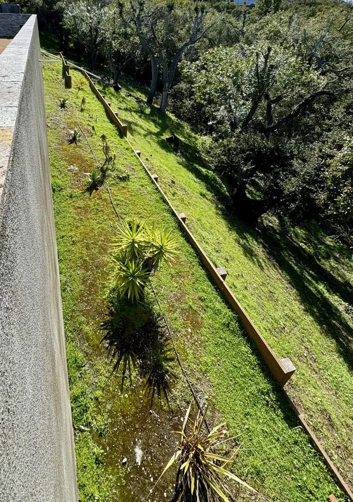 Affordable yard cleanup service for year-round maintenance across Belmont, CA - Francisco Zarco Gardens Landscape