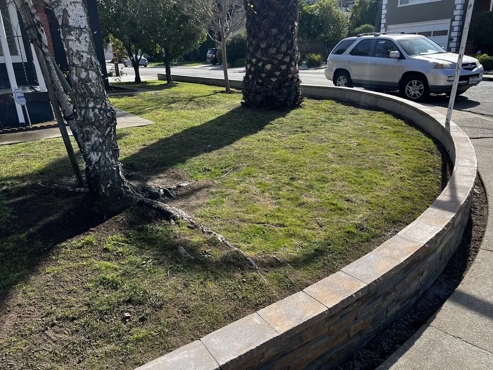 Expert residential landscaping in Belmont, CA by Francisco Zarco Gardens Landscape