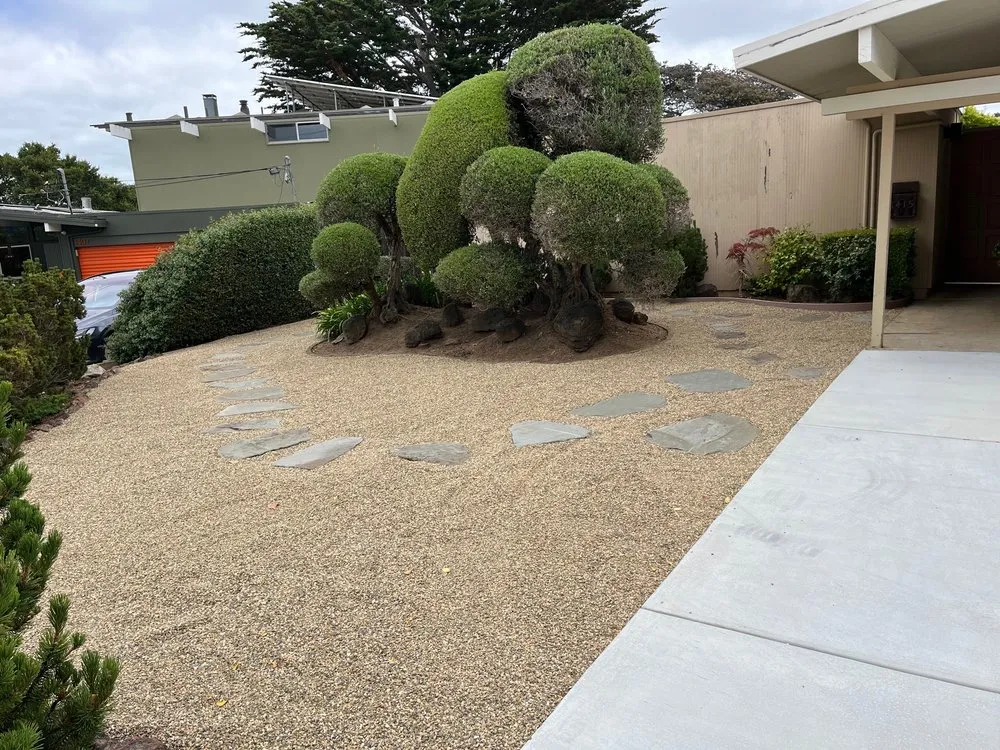 Top-rated landscaping services experts serving Belmont, CA - Francisco Zarco Gardens Landscape