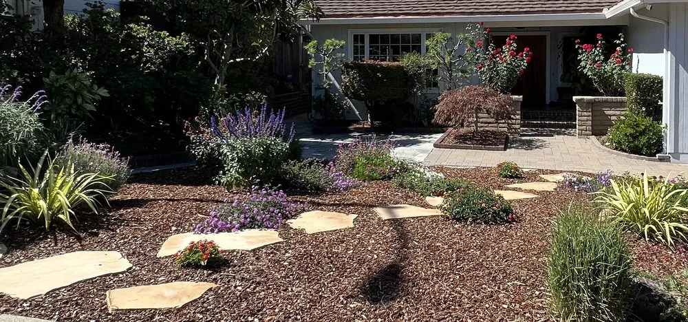 Custom lawn mowing service for outdoor upgrades in Belmont, CA by Francisco Zarco Gardens Landscape