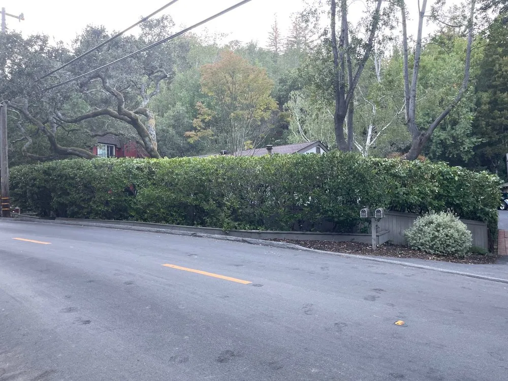 Reliable garden landscaping in Belmont, CA by Francisco Zarco Gardens Landscape