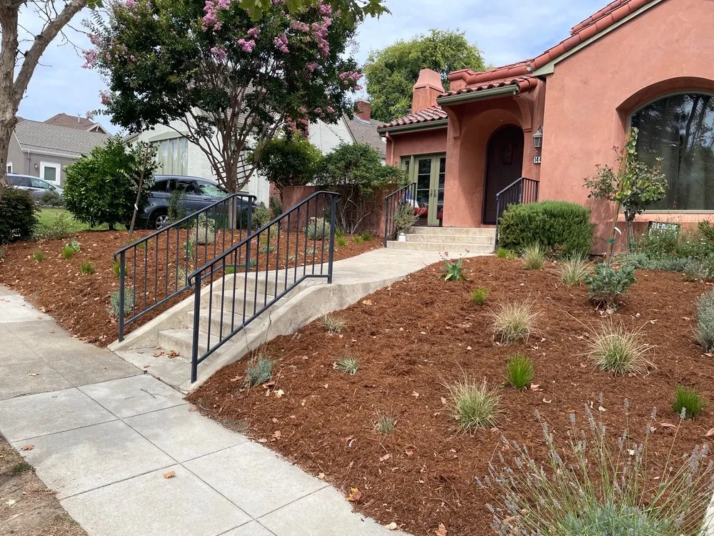 Top-rated yard maintenance for outdoor upgrades across Belmont, CA - Francisco Zarco Gardens Landscape