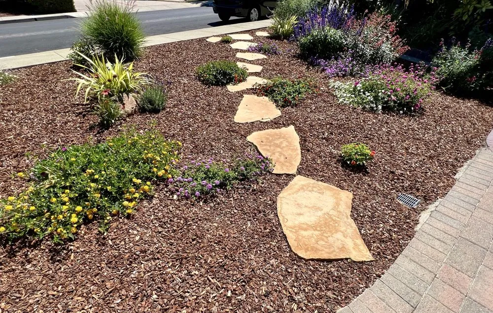 Trusted landscaping services experts serving Belmont, CA - Francisco Zarco Gardens Landscape