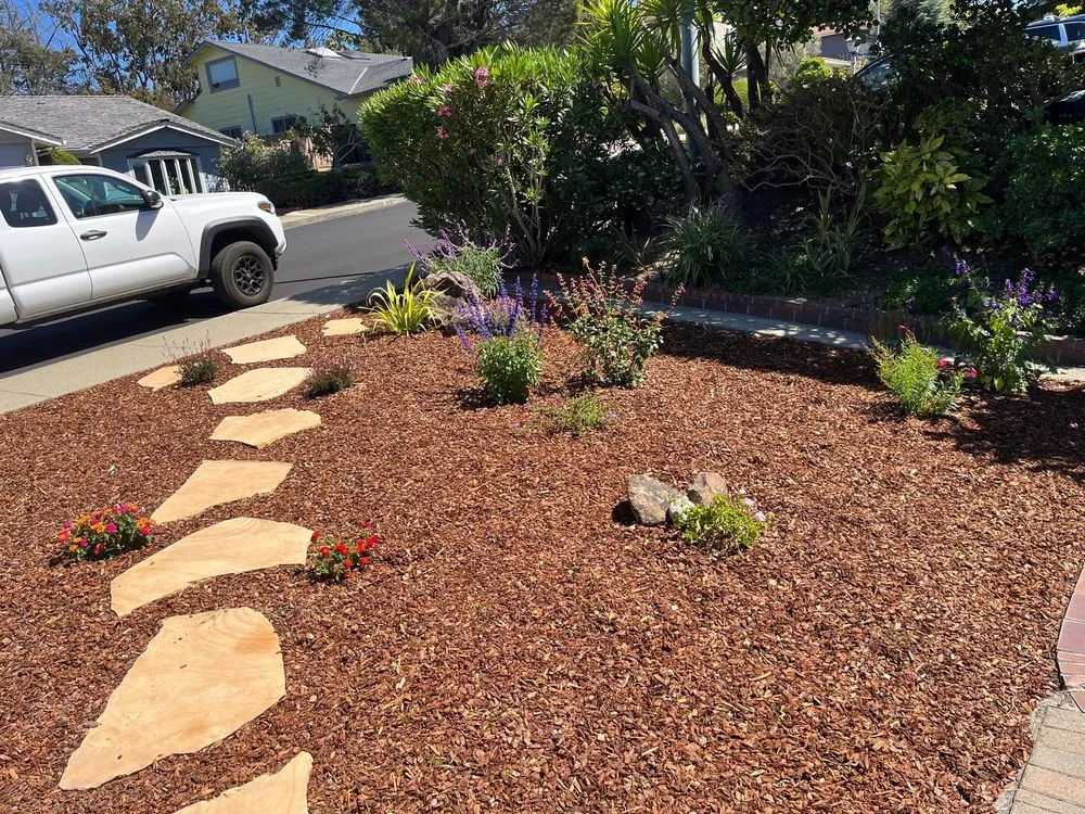 Trusted residential landscaping experts serving Belmont, CA - Francisco Zarco Gardens Landscape