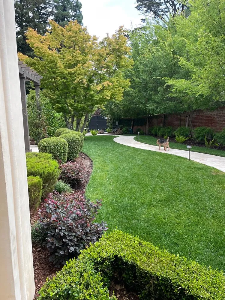 Affordable garden landscaping for residential properties across Belmont, CA - Francisco Zarco Gardens Landscape