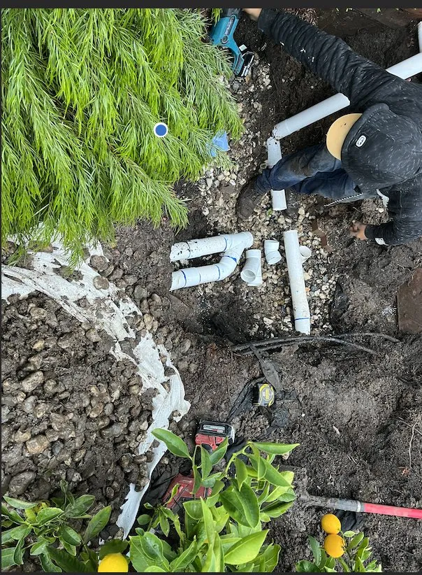 Top-rated outdoor landscaping near you across Belmont, CA - Francisco Zarco Gardens Landscape