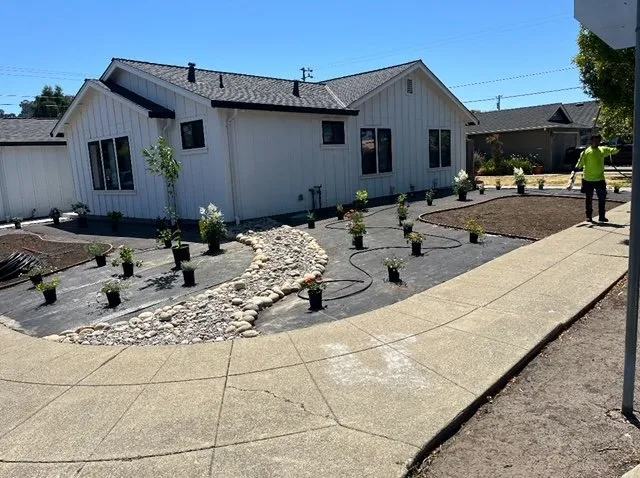 Professional residential landscaping in Belmont, CA by Francisco Zarco Gardens Landscape