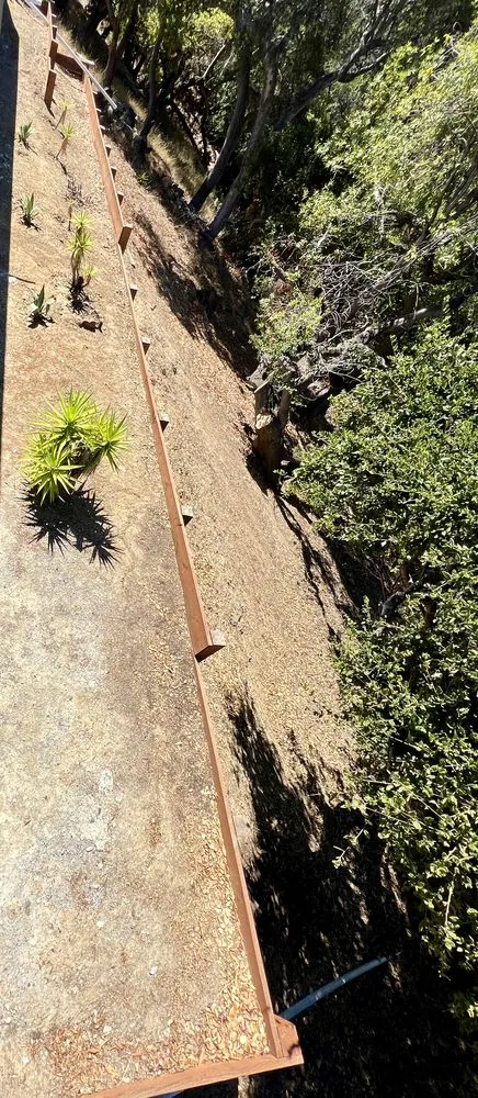 Local yard maintenance in Belmont, CA by Francisco Zarco Gardens Landscape