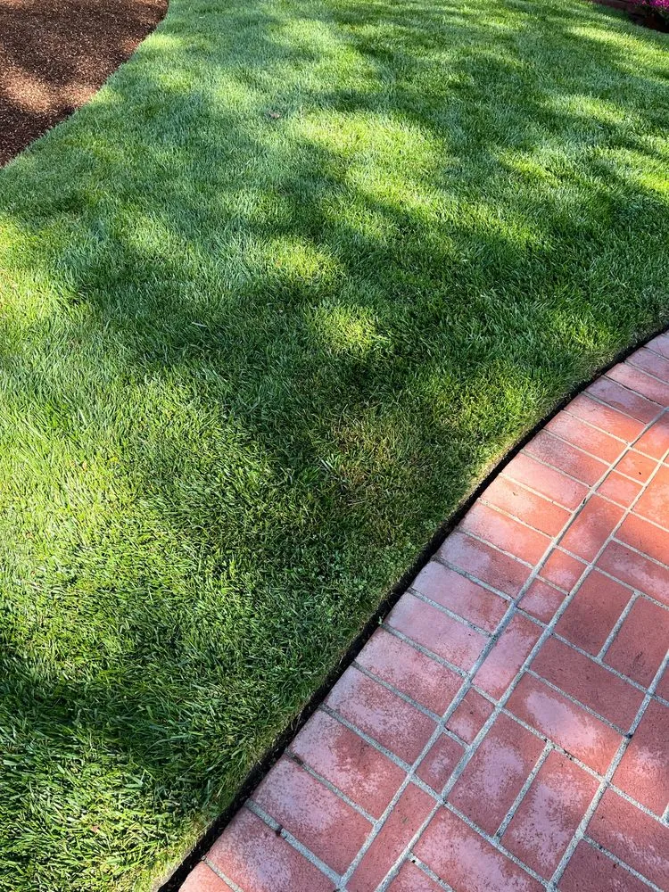 Expert landscaping services in Belmont, CA by Francisco Zarco Gardens Landscape