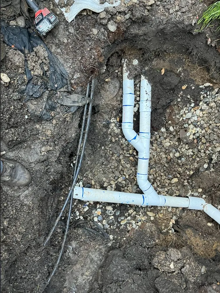 Top-rated landscape design experts serving Belmont, CA - Francisco Zarco Gardens Landscape