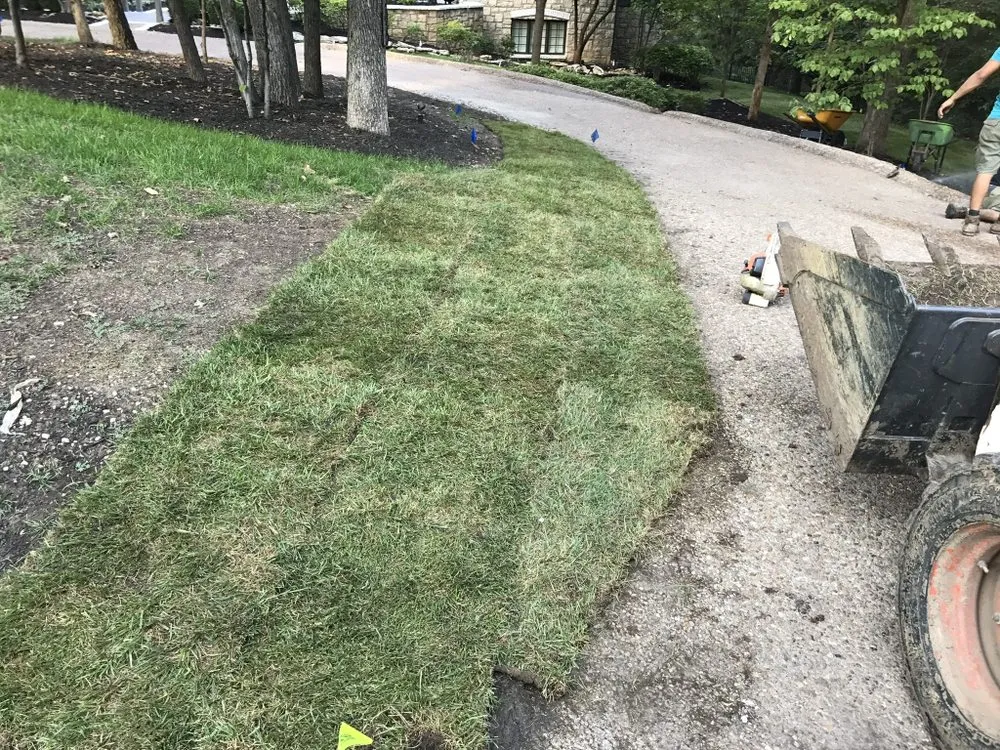 Top-rated yard cleanup service experts serving Overland Park, KS - Francisco20 Landscape