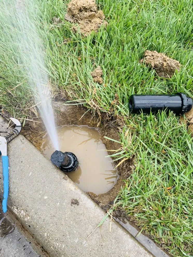 Expert lawn care service experts serving Overland Park, KS - Francisco20 Landscape