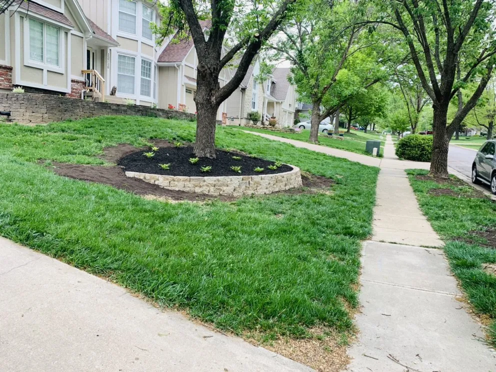 Professional yard cleanup service experts serving Overland Park, KS - Francisco20 Landscape