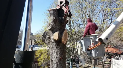 Trusted landscape installation in Freeport, NY - Francisco's Diaz Landscaping & Tree Service