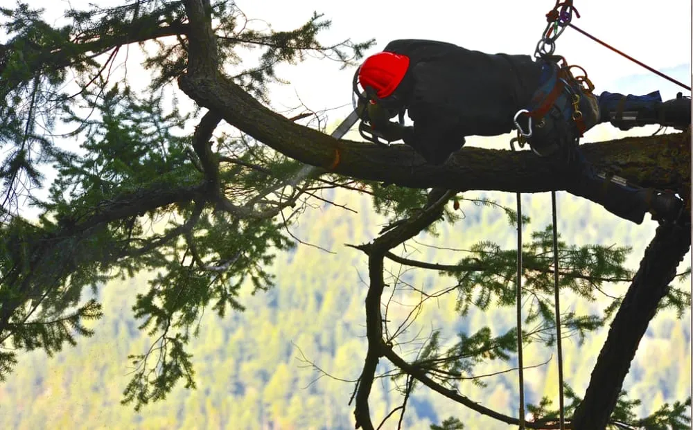 Affordable garden landscaping in Freeport, NY - Francisco's Diaz Landscaping & Tree Service