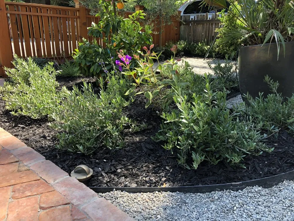 Professional yard cleanup service in San Rafael, CA by Francisco's Gardening and Maintenance