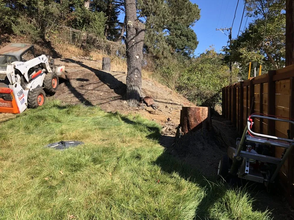 Custom landscaping services in San Rafael, CA - Francisco's Gardening and Maintenance